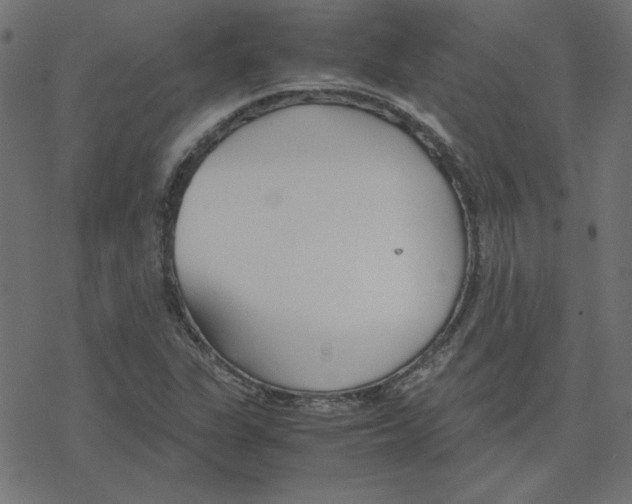 X0000078241311200612011555