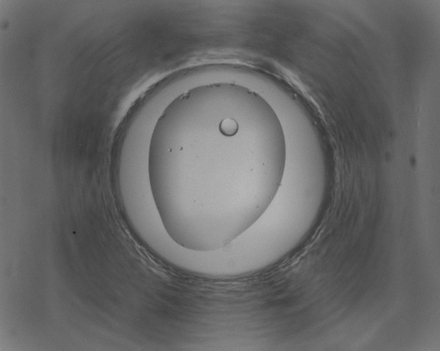 X0000078241312200612011555