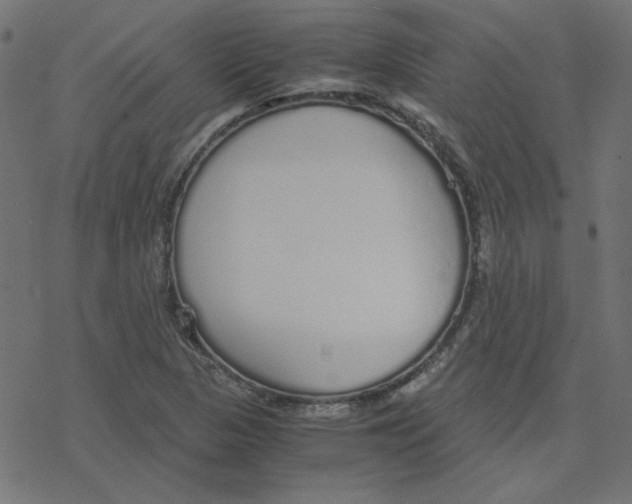 X0000078241313200612011555