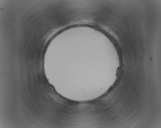 X0000078241316200612011555