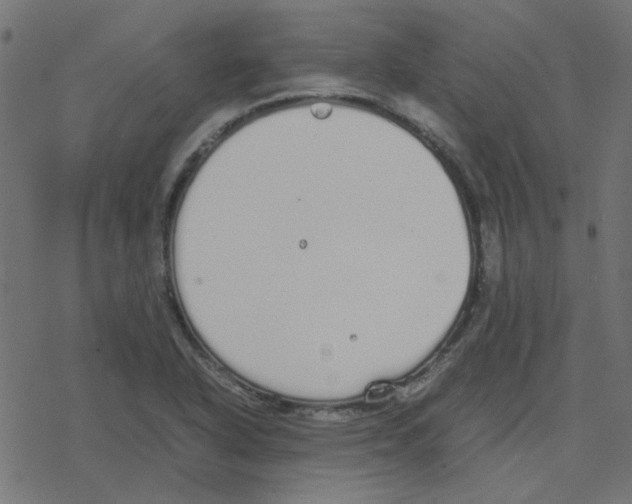 X0000078241318200612011555