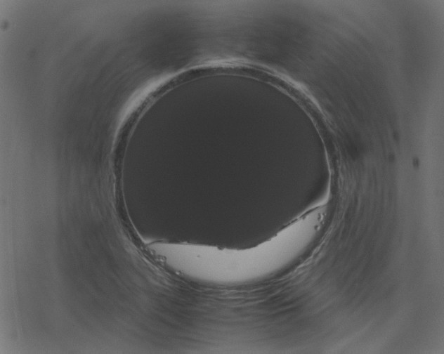 X0000078241319200612011555