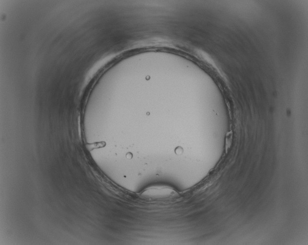 X0000078241320200612011555