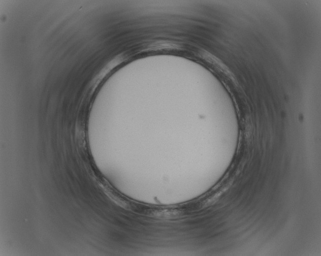 X0000078241321200612011555