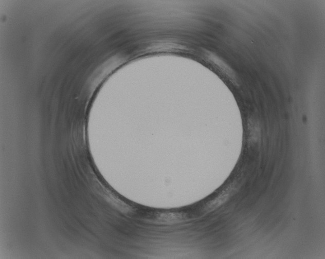 X0000078241322200612011555