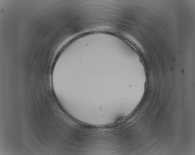 X0000078241324200612011555