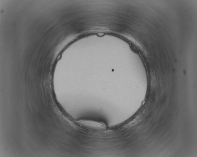 X0000078241325200612011555