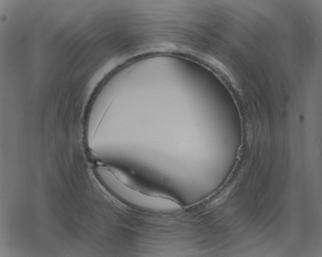 X0000078241326200612011555