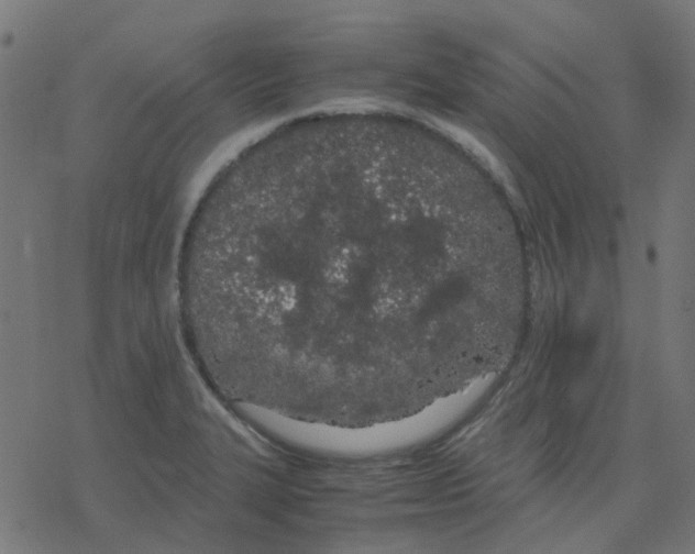 X0000078241327200612011555