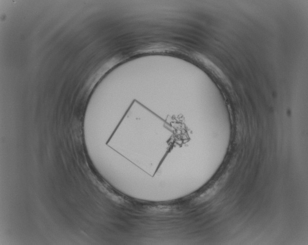 X0000078241329200612011555