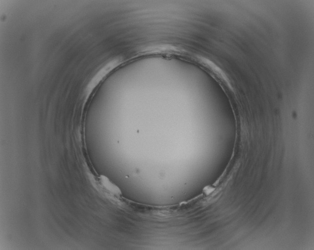 X0000078241330200612011555