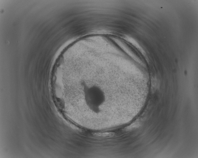 X0000078241331200612011555