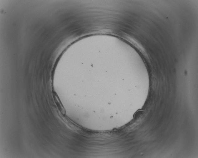 X0000078241332200612011555