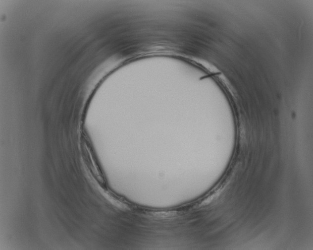 X0000078241333200612011555