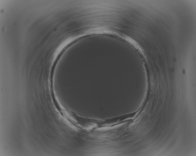 X0000078241334200612011555