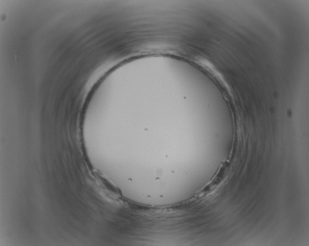 X0000078241336200612011555