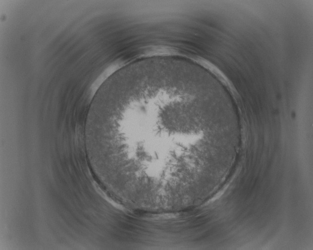 X0000078241337200612011555