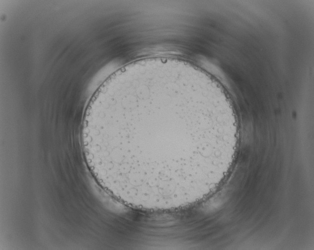 X0000078241338200612011555