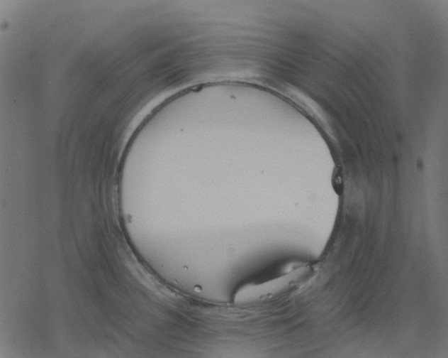 X0000078241340200612011555