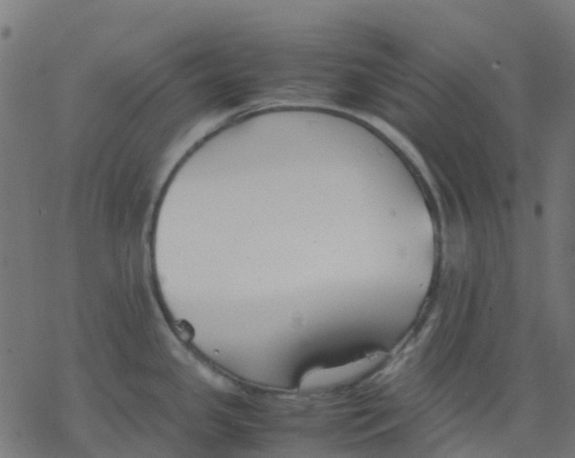 X0000078241341200612011555