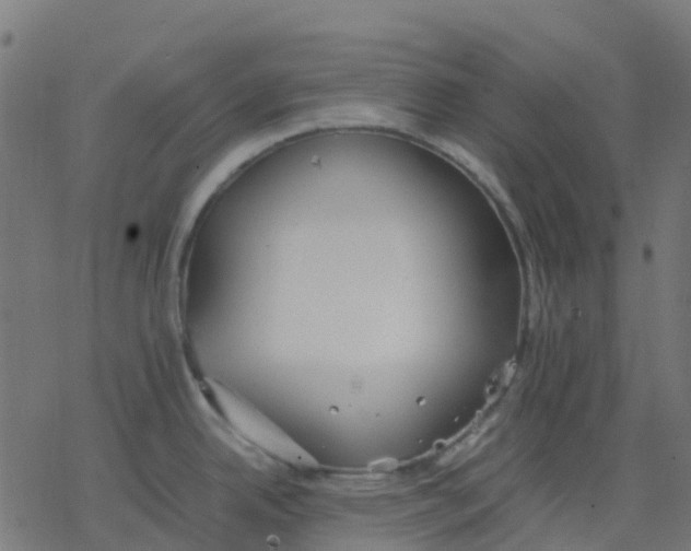 X0000078241342200612011555