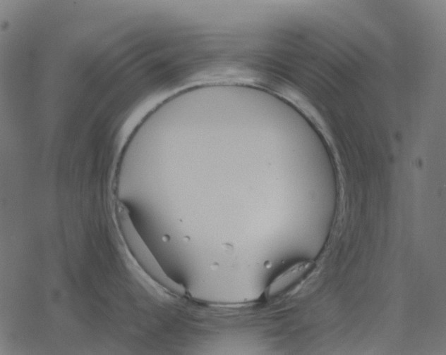 X0000078241344200612011555