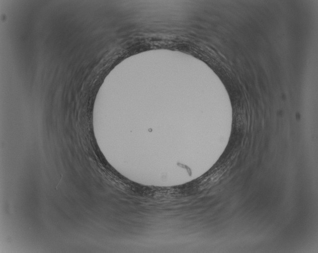 X0000078241345200612011554