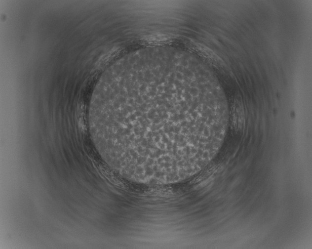 X0000078241346200612011554