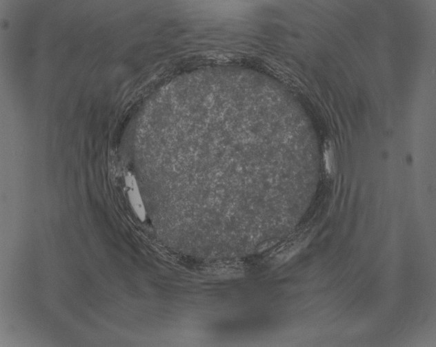 X0000078241347200612011554