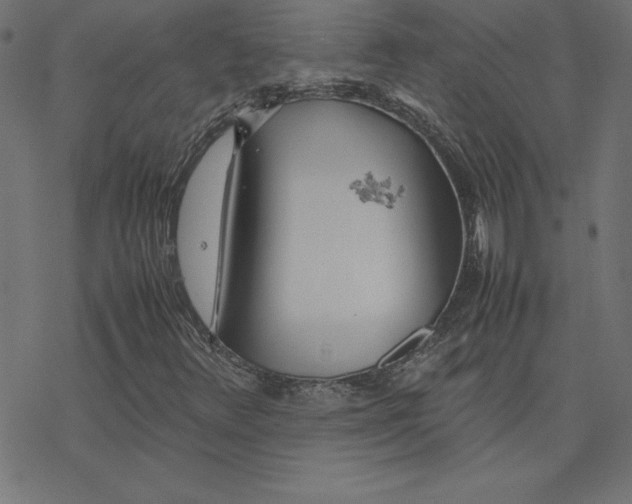 X0000078241348200612011554