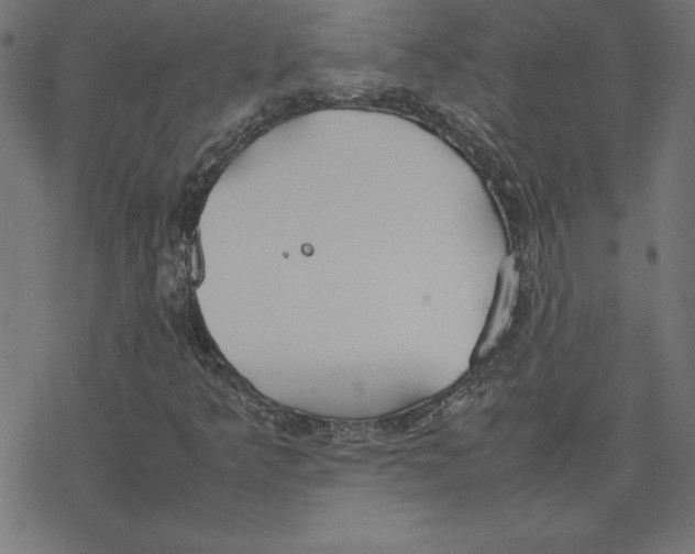 X0000078241349200612011554