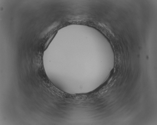 X0000078241350200612011554