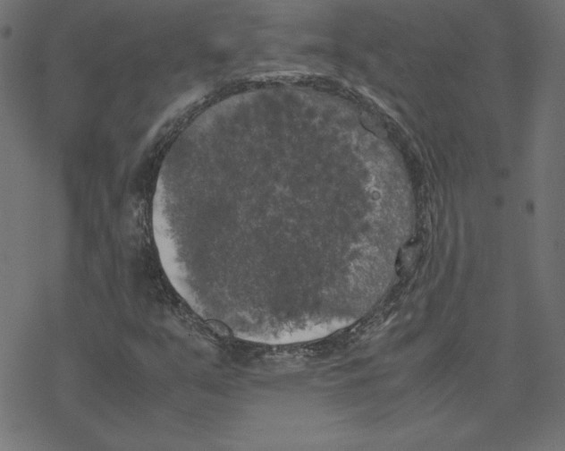 X0000078241351200612011554