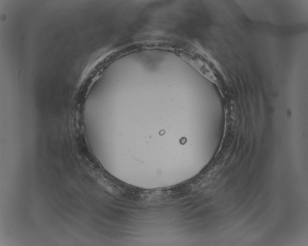 X0000078241352200612011554