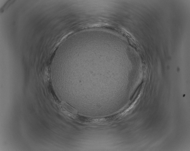 X0000078241353200612011554