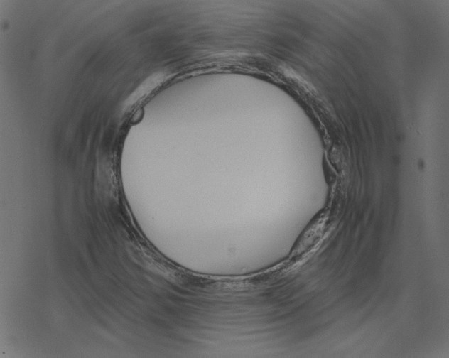 X0000078241354200612011554