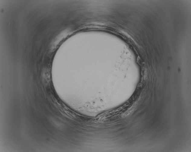 X0000078241355200612011554