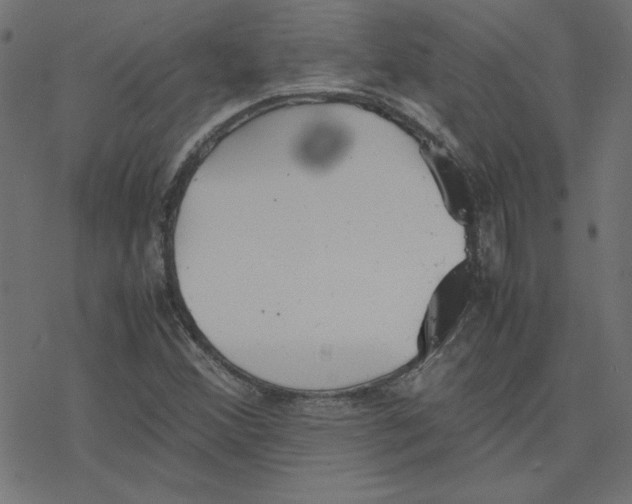 X0000078241356200612011554