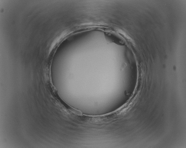 X0000078241357200612011554