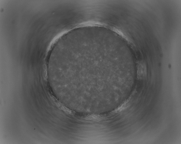 X0000078241358200612011554