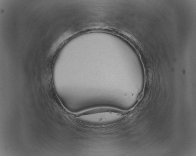 X0000078241359200612011554