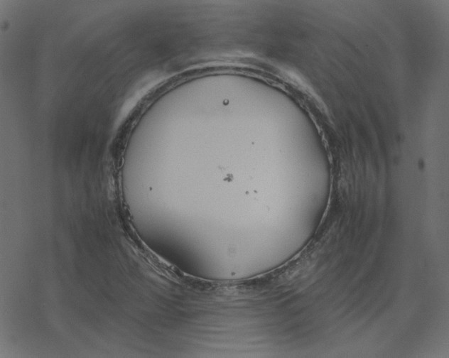 X0000078241360200612011554