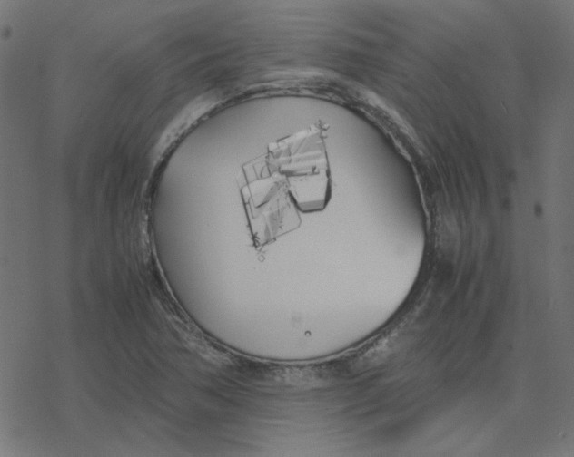 X0000078241362200612011554