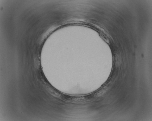 X0000078241363200612011554