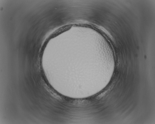 X0000078241364200612011554