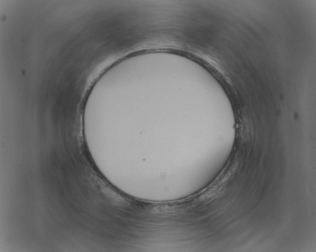 X0000078241366200612011554