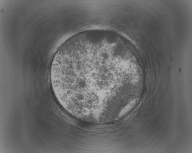 X0000078241367200612011554