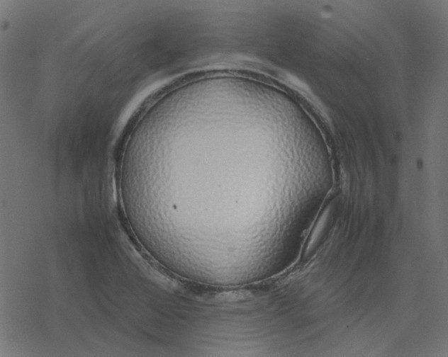 X0000078241368200612011554