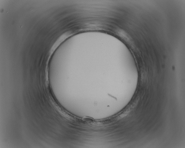 X0000078241370200612011554