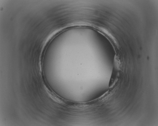 X0000078241372200612011554